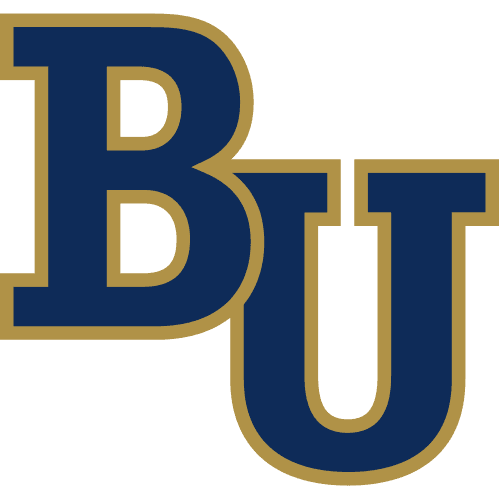 Bethel University – Minnesota logo