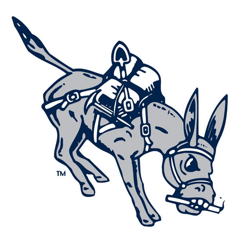 Colorado School of Mines logo