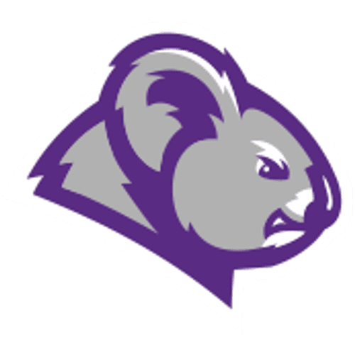 Columbia College – South Carolina logo