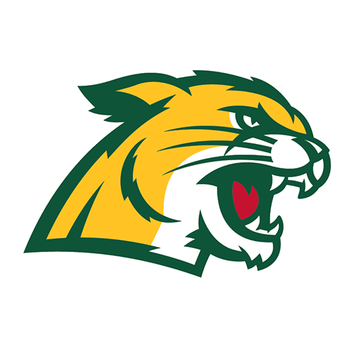 Northern Michigan University logo