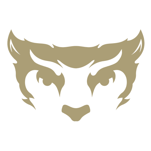 Saint John's University – Minnesota logo