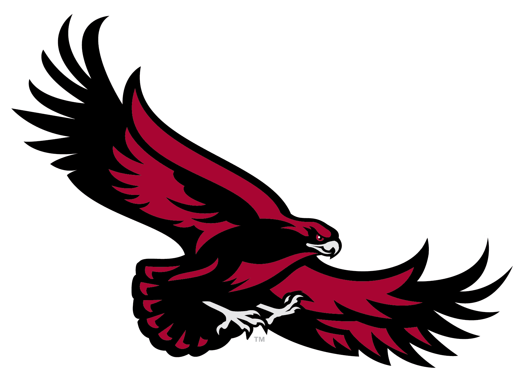 Saint Joseph's University logo