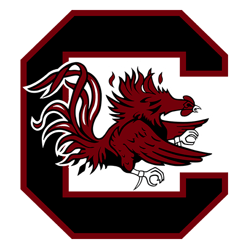 Anderson University – South Carolina logo