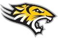 Towson University logo