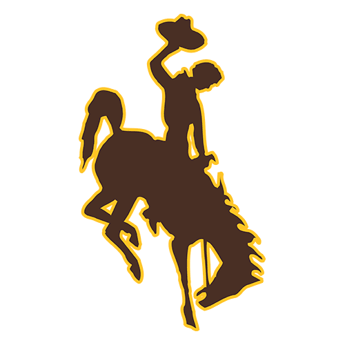 University of Wisconsin – Stout logo