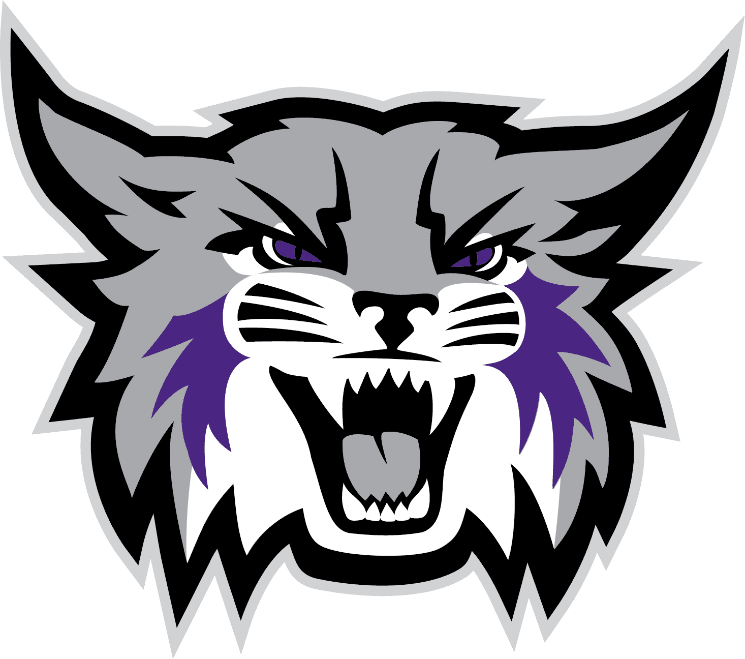 Weber State University logo